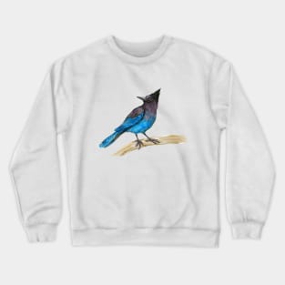 Steller's jay watercolor Crewneck Sweatshirt